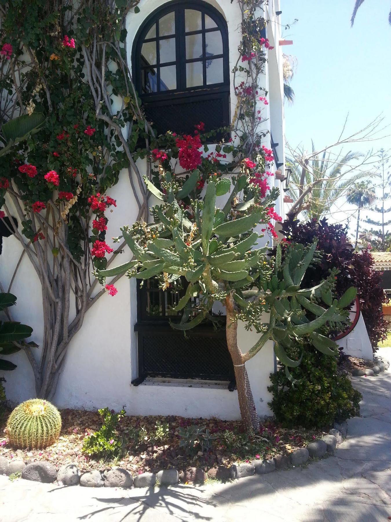 Apartamentos El Chaparral Playa del Inglés Exterior foto